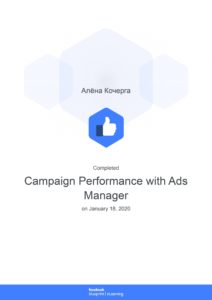 Campaign Performance with Ads Manager _ Blueprint